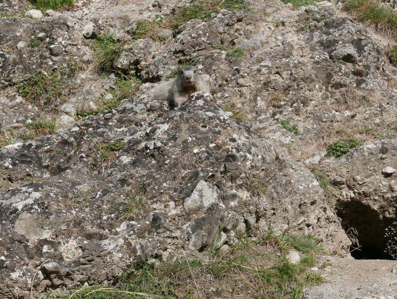 18 août 2018 - Balade sur le sentier des marmottes