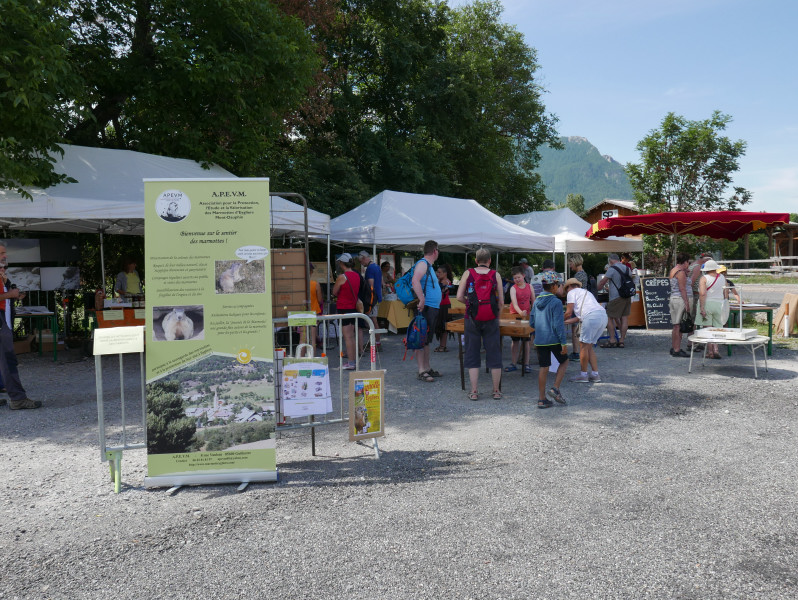 17 juillet 19 - Journée de la marmotte