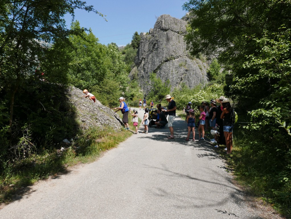 Journée de la marmotte 26