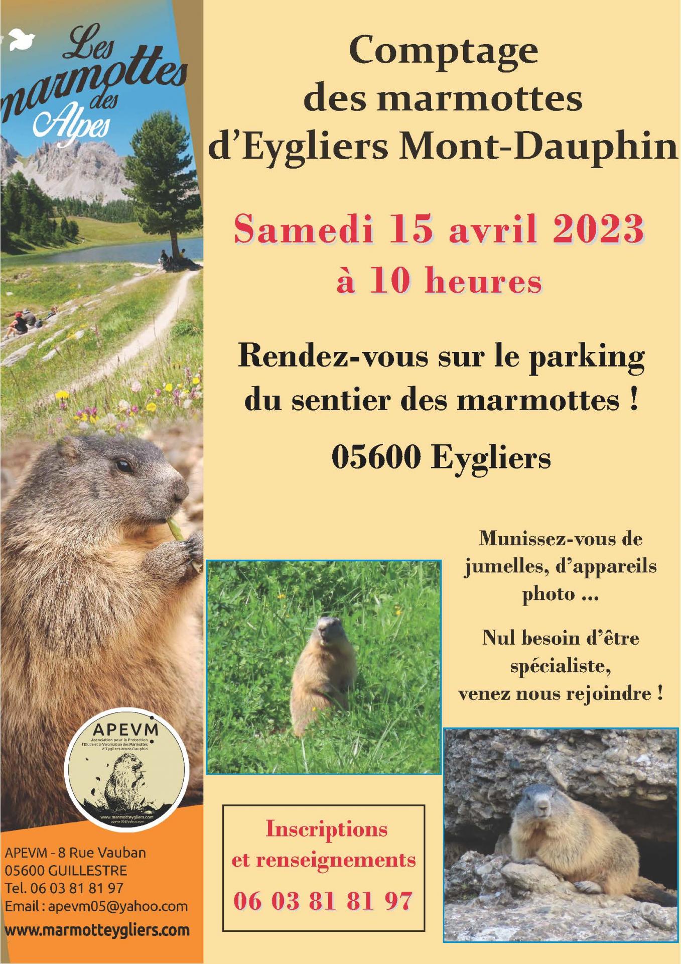 Comptage des marmottes