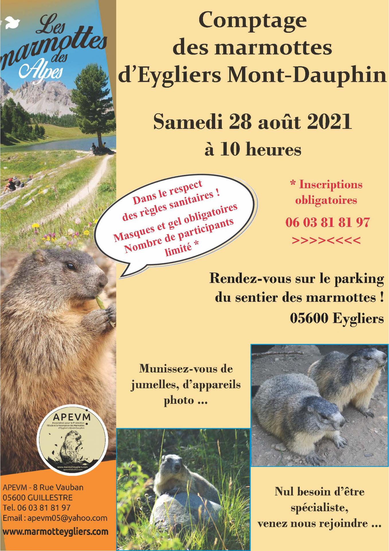 Explorons des Donjons avec les marmots ! – Plateau Marmots