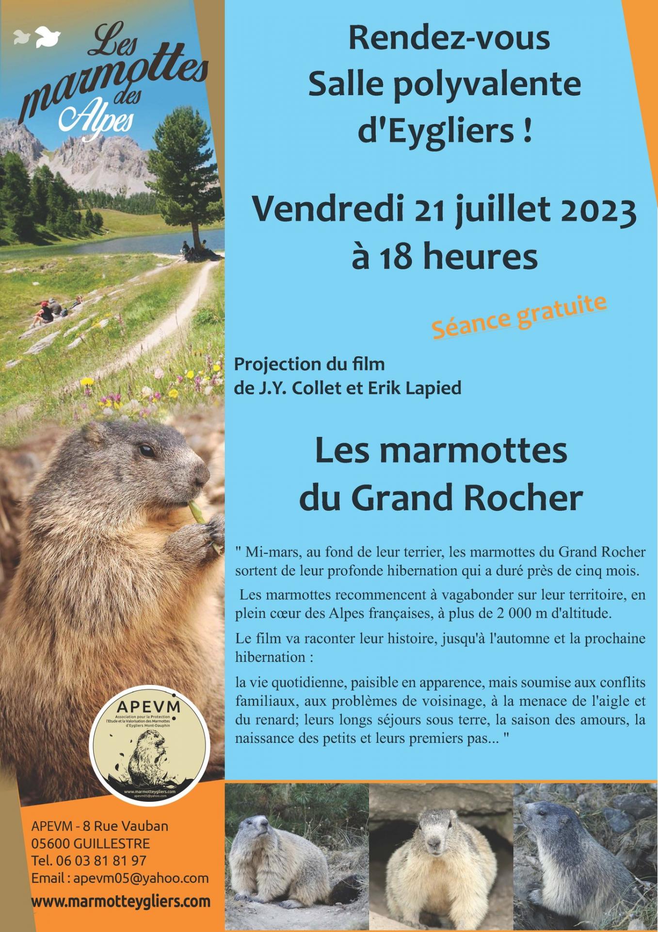 Les marmottes du grand rocher