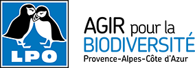 Logo lpopaca