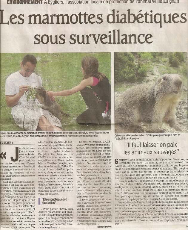 Marmottes 29 mai 2012 2 1