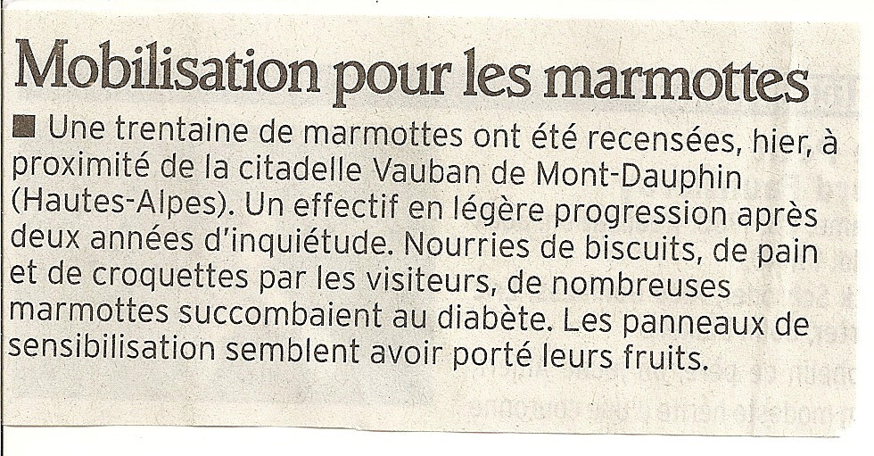 Marmottes 29 mai 2012 4 1