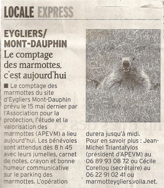 Marmottes 8 juin 2013 1