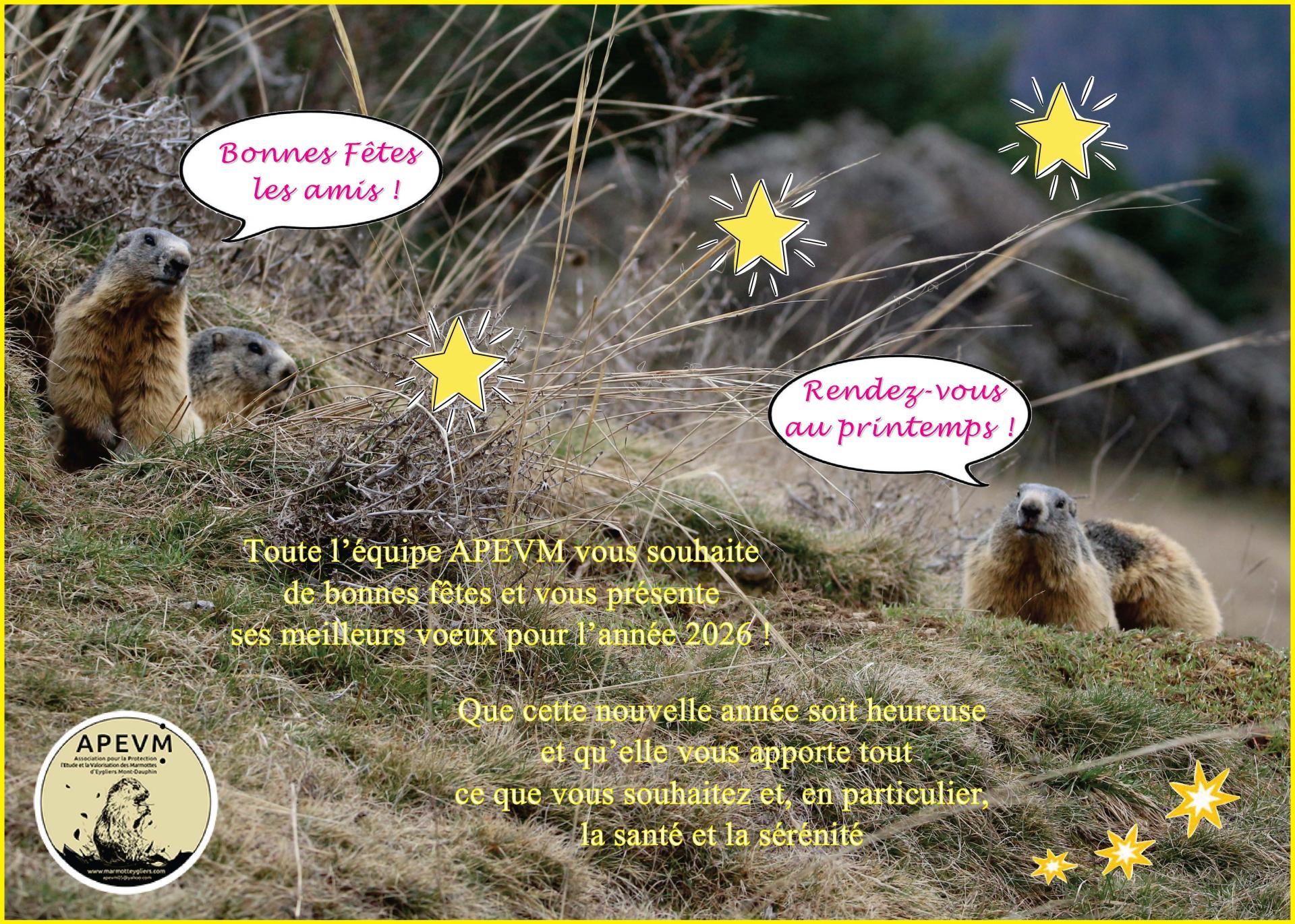 Voeux 2026